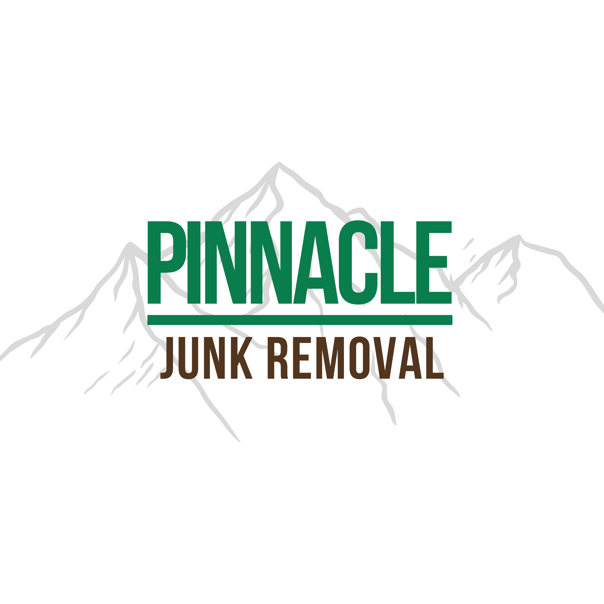 pinnacle-junk.com